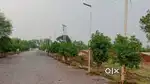 Best Time to Invest – Farm Plots in Sejbahar with Monsoon Offer