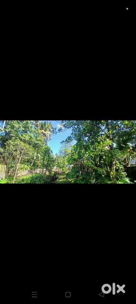 Near NH Thattamala 33.6 cent place