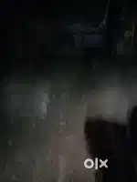 അണ്ടിക്കോട്