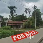 3 পোৱা মাটি আৰু লগতে 6 টি room বিশিষ্ট Assam pattern ডাঙৰ ঘৰ,NH 127B