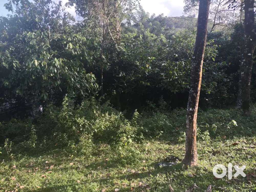 22.5 Cent House plot for sale near Thodupuzha in Moolamattom route