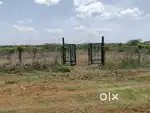 Farm land sale