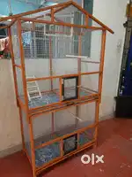 Birds cages