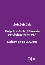 Parsnal assistant, Team manager, telicaller
