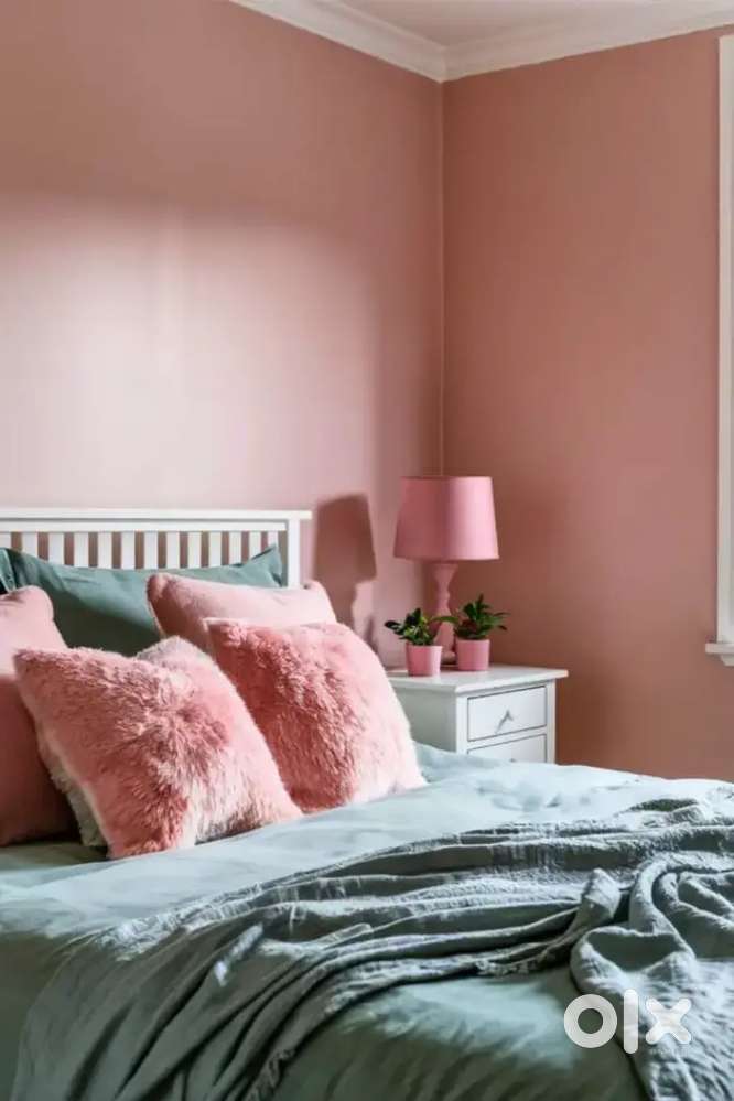 Back bagan lal masjid Quest Mall area park circus