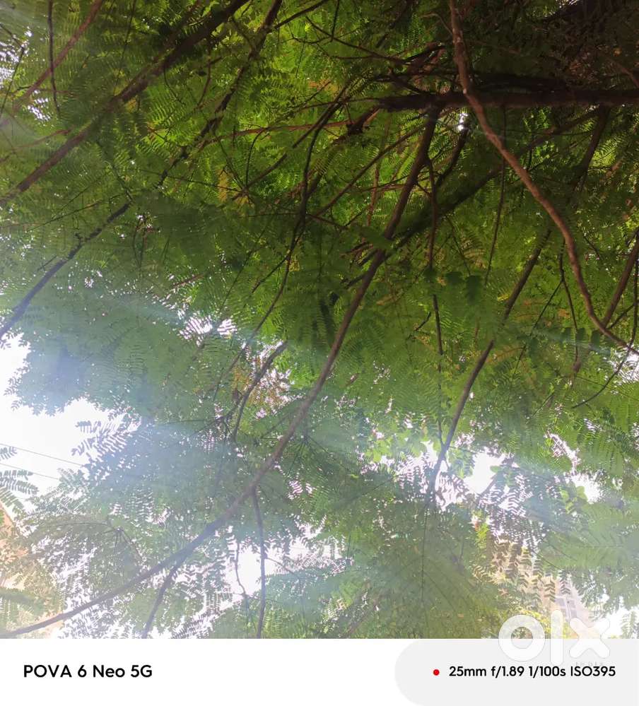 40 cents for sale at valapad thrissur near highway