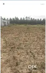Sanjay farms
