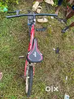 Modified cycle