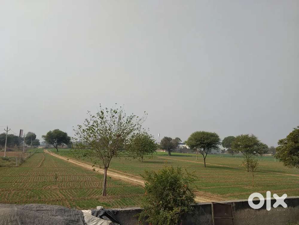 Total Land is 20000Squre meter( 2Hectare) . For long term lease.