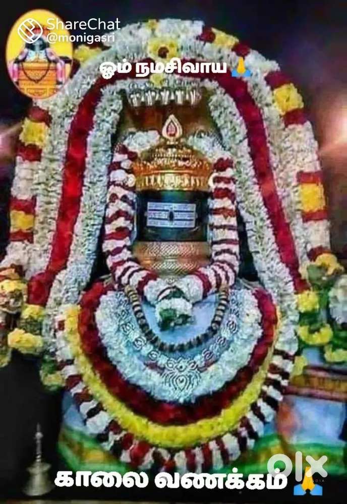 Supervisor and bike riders wanted contact immediate