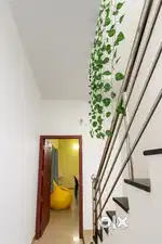 Premium Co-Living hostel for Women - HOSTLY (Limited Slots Available!)
