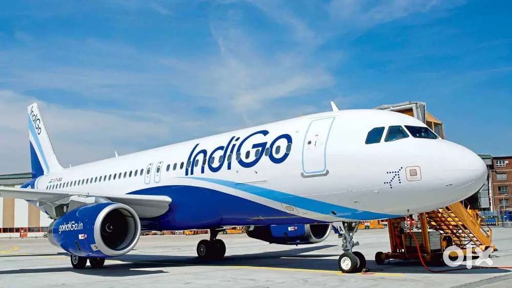 FULL TIME JOB IN INDIGO AIRLINES NEAR BY AIRPORT JOBS FRESHER ARE WELC