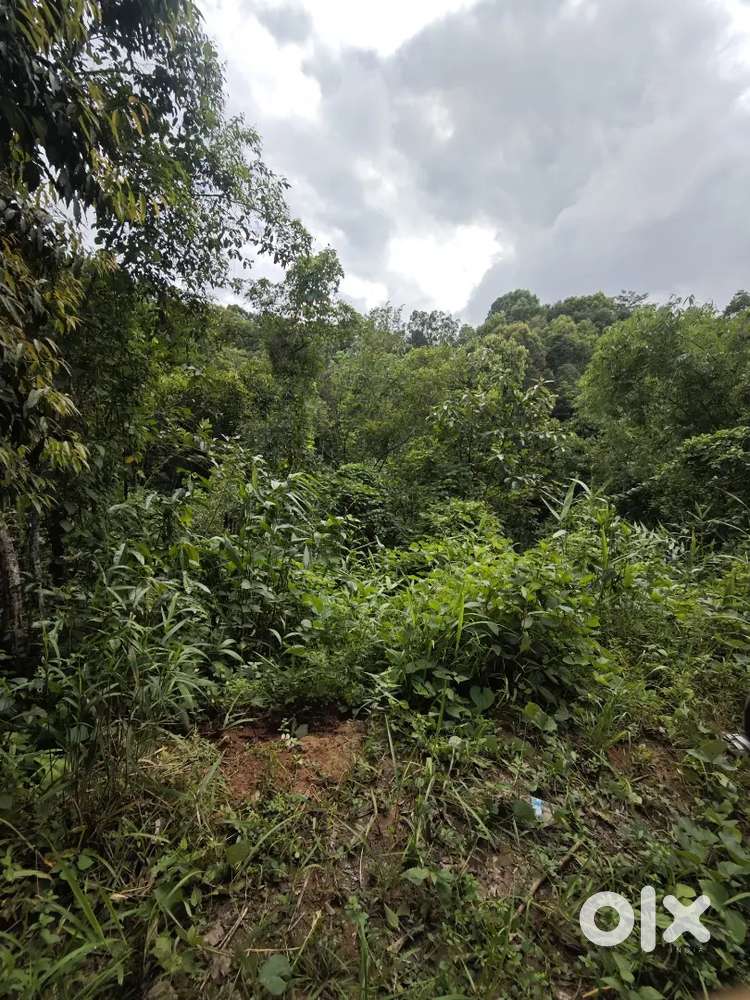 Land for sale in Umshorshor Kyrdem Kulai Ribhoi