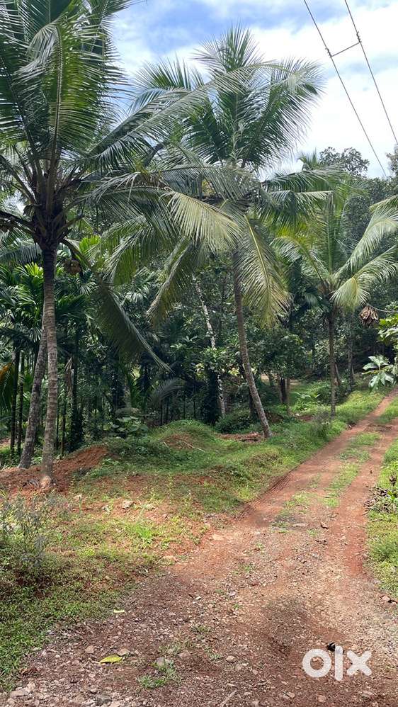 Plots for sale in chemmarathur