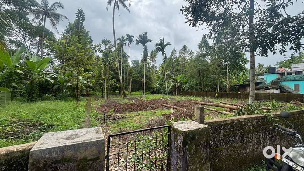 Residential Plot for Sale Near Malayatoor Church(20 Cent)