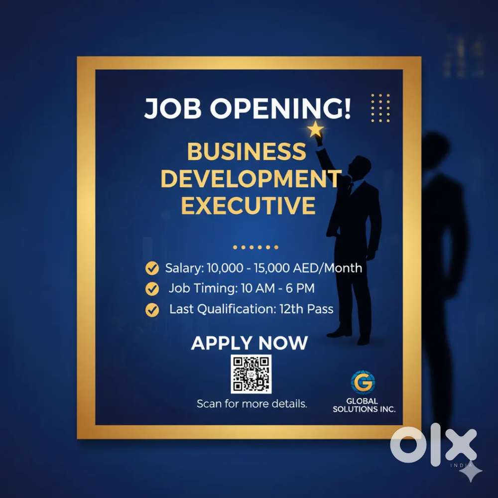 Business Development Executive