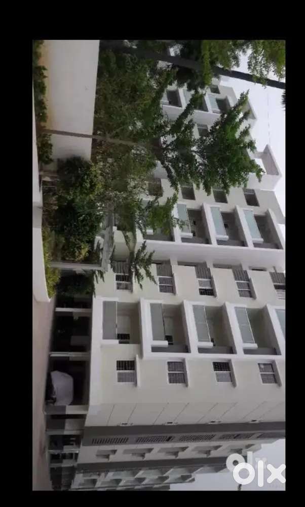 3BHK apartment in flora delight - modern living awaits