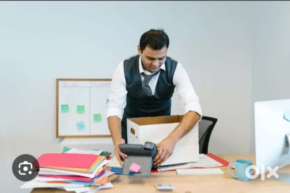 Office boy job