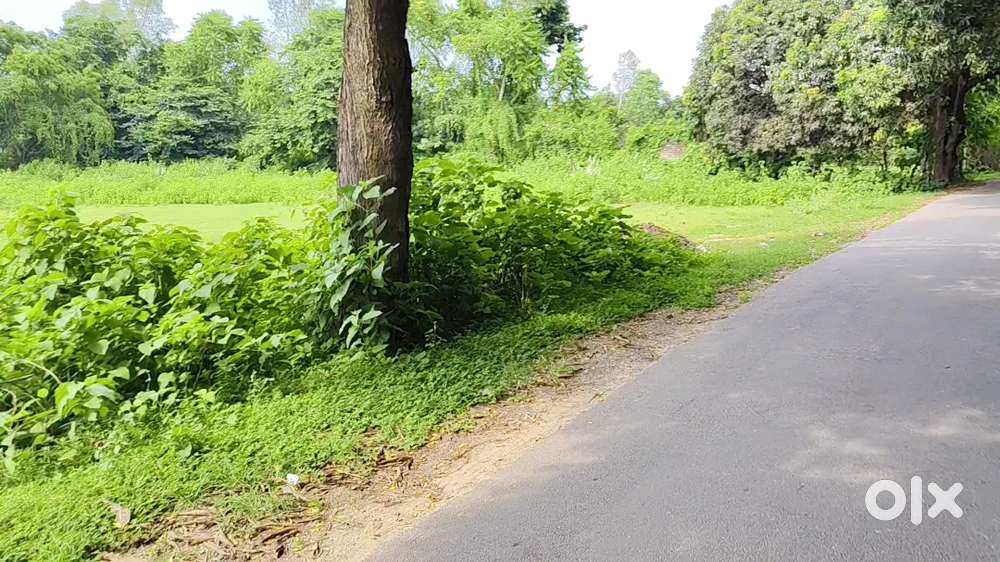 आपके सपनों का घर बनाने के लिए प्लॉट सबसे अच्छे लोकेशन पर है
