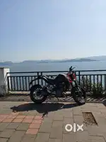 Full fresh condition