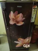 Refrigerator single door