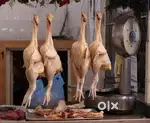 CHICKEN CUTTING MASTER