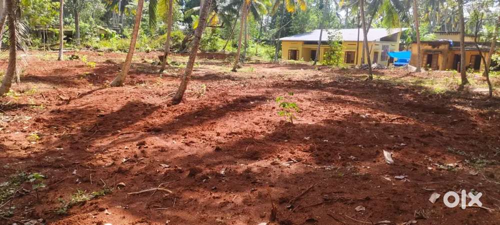 കാഞ്ഞിരംകുളം ബി.എഡ് കോളേജിനടുത്ത് വസ്തുവില്പനയ്ക്ക്