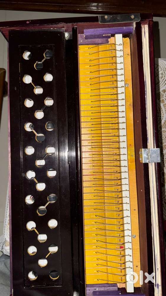 Indian Classical Harmonium