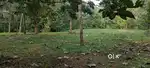 Land for sale in kottarakara