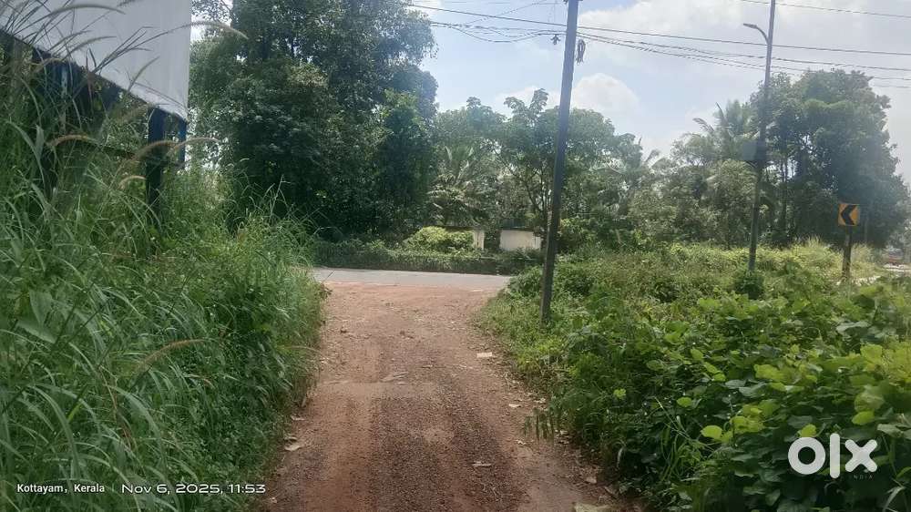 മോനിപള്ളി hiway 100mtr അടുത്തു 33cnt വില cnt 175000/-