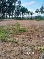 30 cent plot Peringanad, Adoor