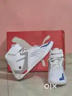 Bmw and puma shoes  freeh pis