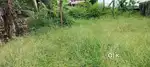 6 CENTS PRIME RESIDENTIAL PLOT FOR SALE NEAR AMBALAMUKKU