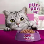 Delicious & Nutritious Cat Food