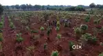 6534sqft farmland for sale with weekend home