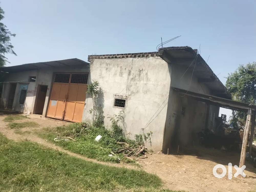 Land , farmhouse ,farming land