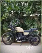 Himalayan 411
