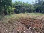 11 Cent Plot Space For Sale Perumbavoor