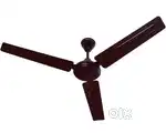 Ceiling Fan working condition.