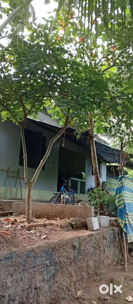 5സെന്റ് സ്ഥലവും 860sf വീടും വെറും 15ലക്ഷത്തിന്