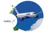 Hiring for Cabin Crew/Ticketing /Ground Staff Jobs in Indigo airlines.