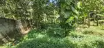 14 cent land for sale near vizhinjam