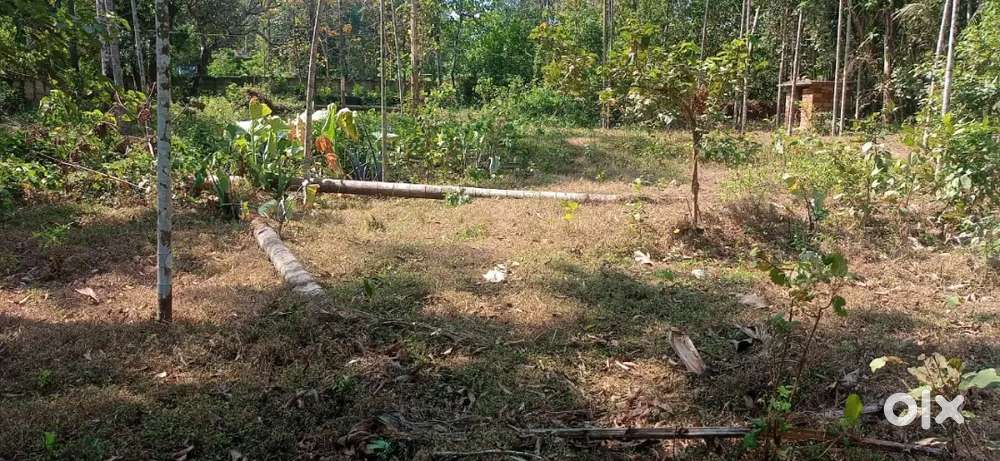 10 cent Land for sale at Thrissur