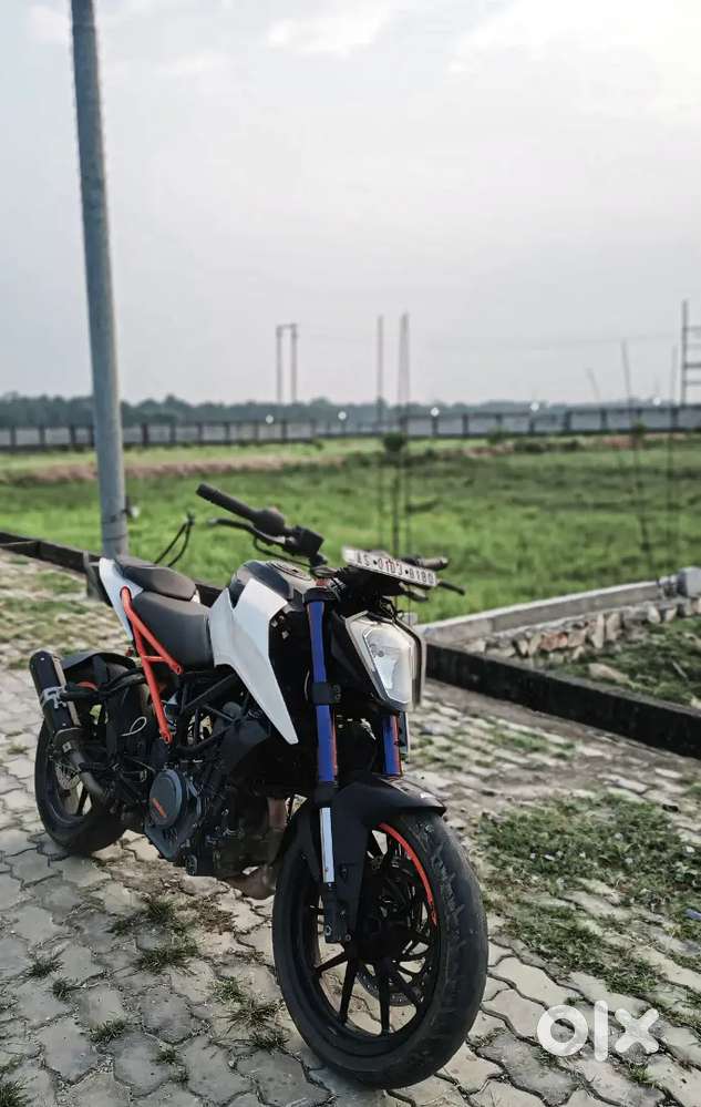 Duke 250 bs4
