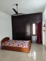 Batchelor room for monthly rent