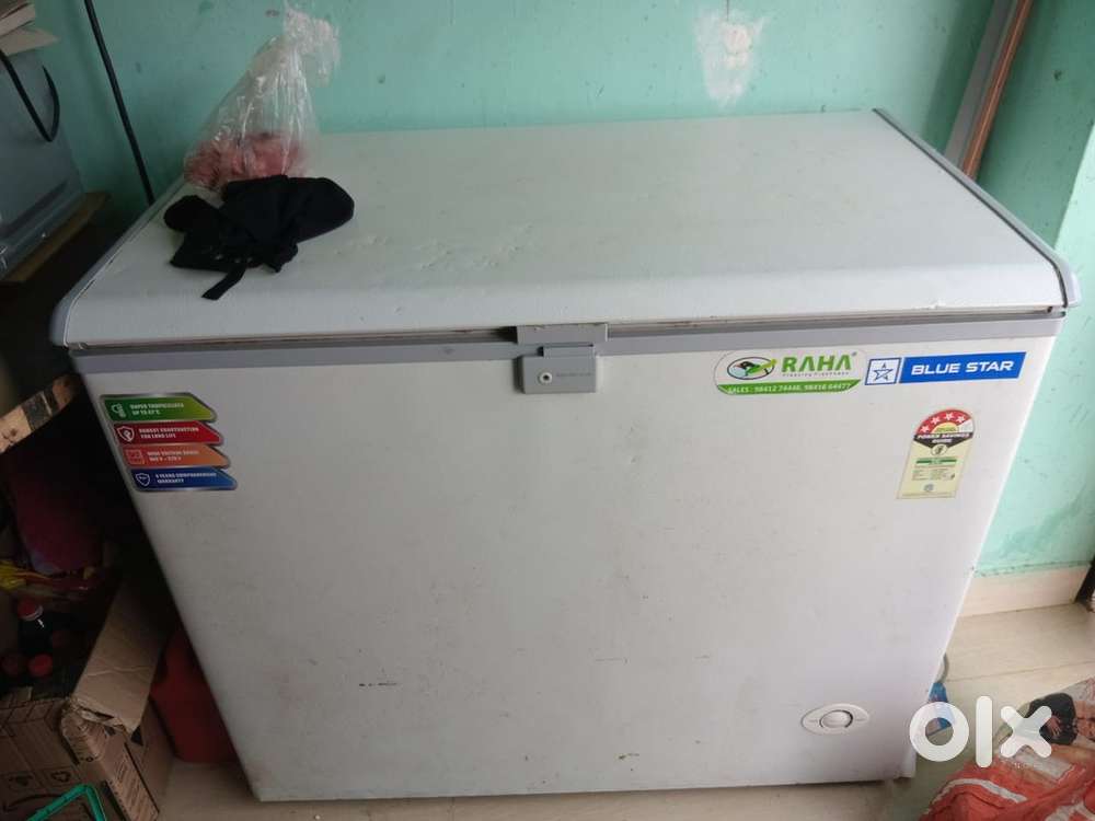 Deep freezer Blue star