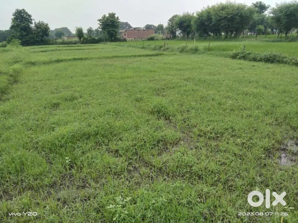 Agriculture land for sale