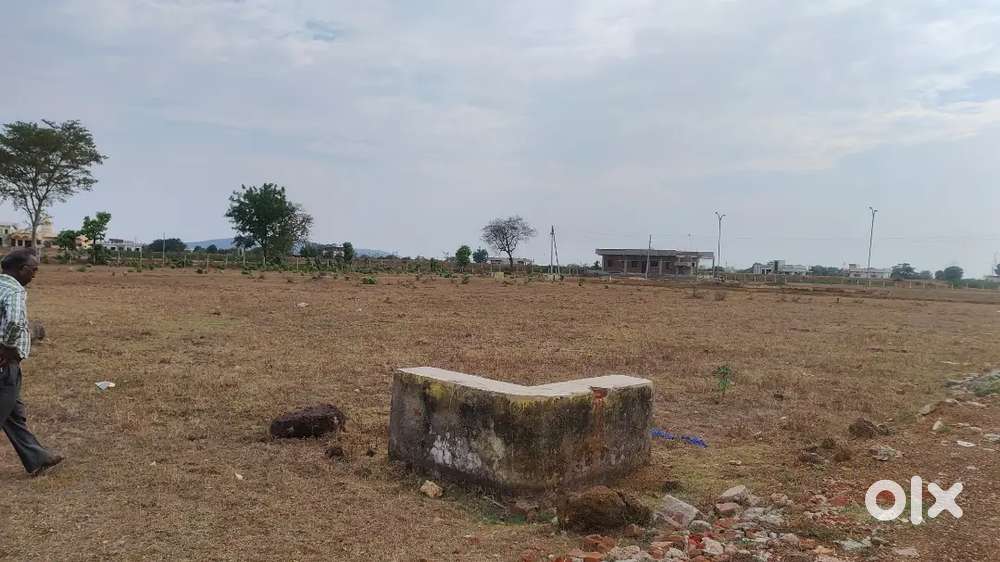 North East corner plot