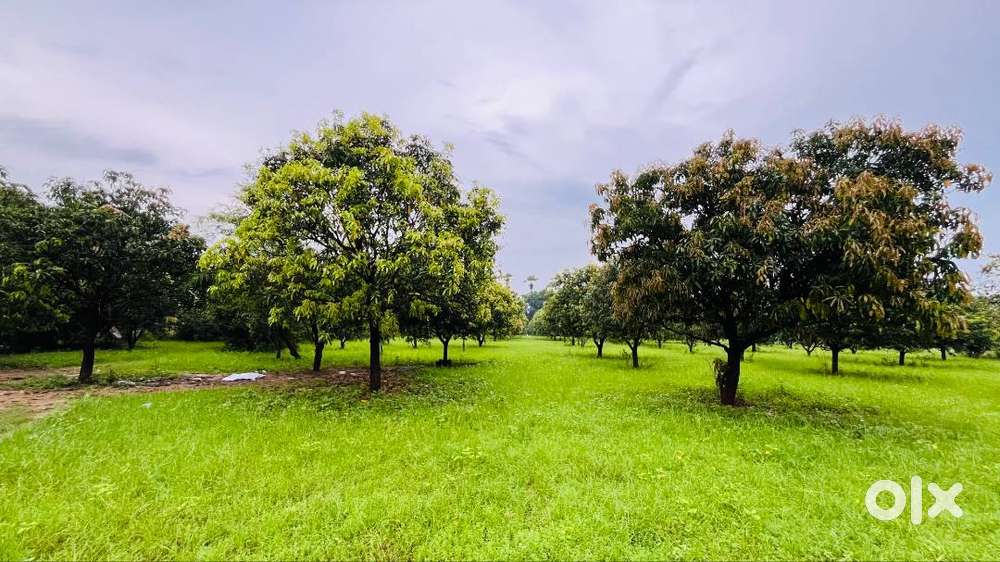 Clear documents, price negotiable