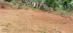 Site for Sale